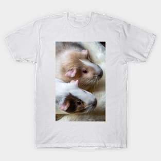 Guinea pigs up close T-Shirt